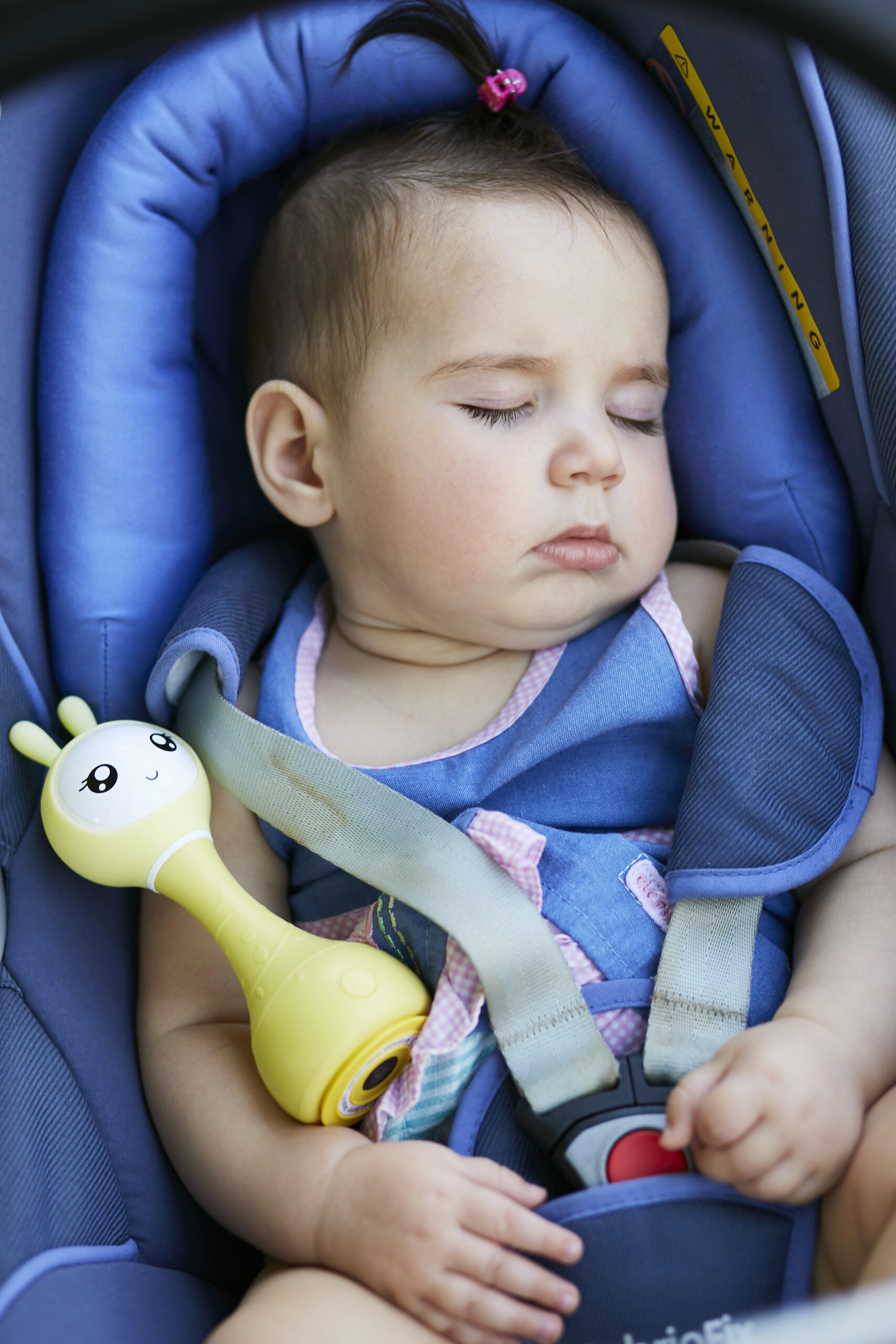 króliczek alilo smart bunny r1