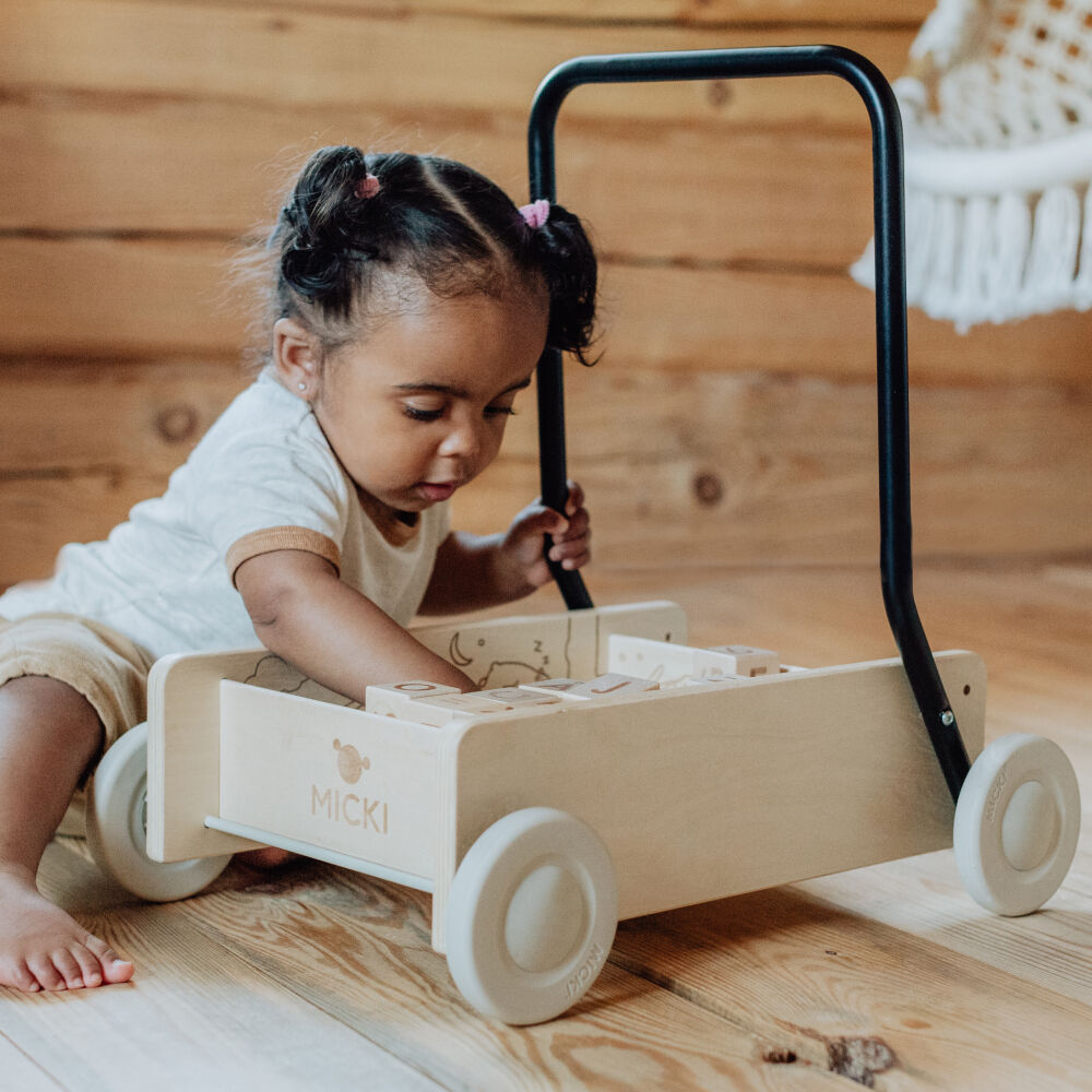 Pchacz drewniany Micki