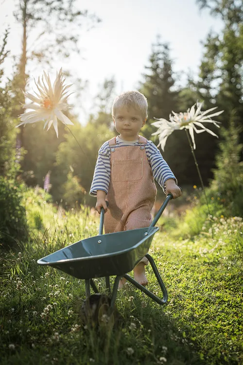taczka do ogrodu dla dzieci
