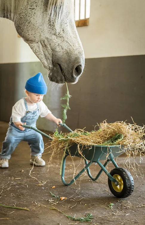 taczka do ogrodu dla dzieci