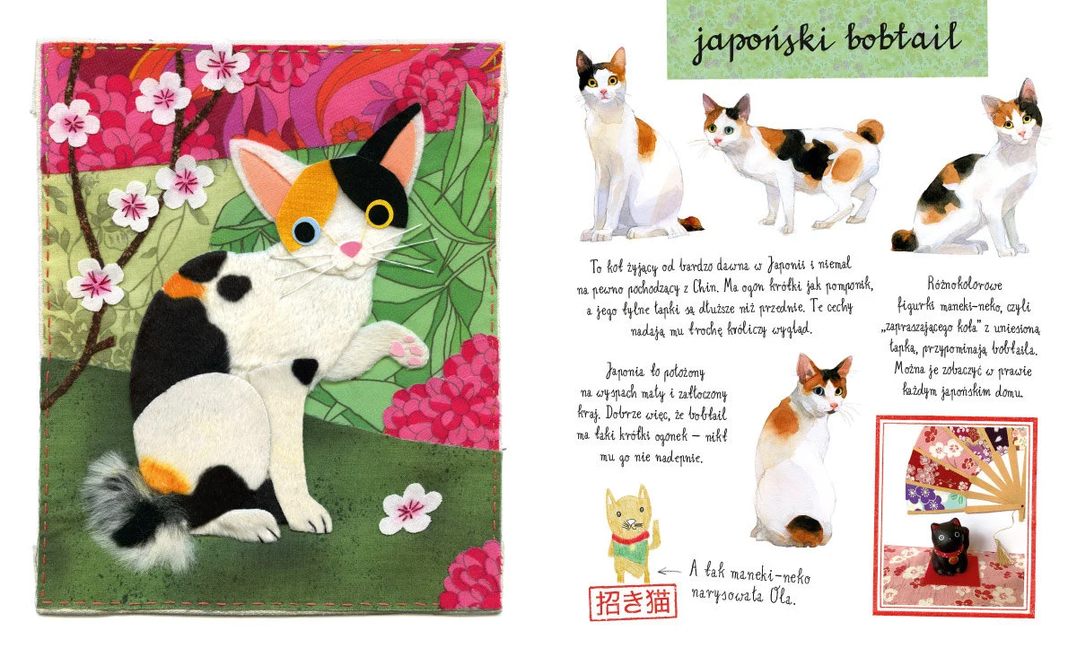 Książka Mały atlas kotów i kociaków