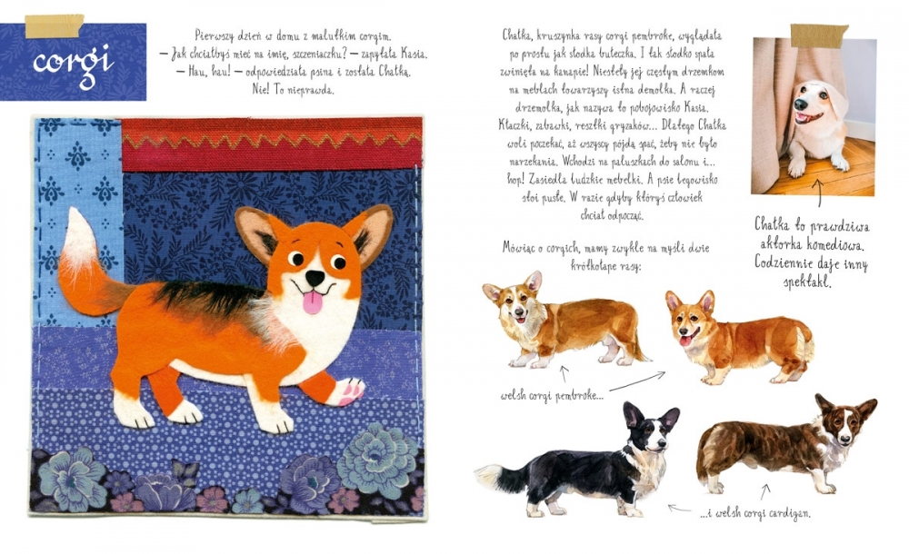 Książka Mały atlas psów i szczeniaków