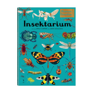 Książka Insektarium
