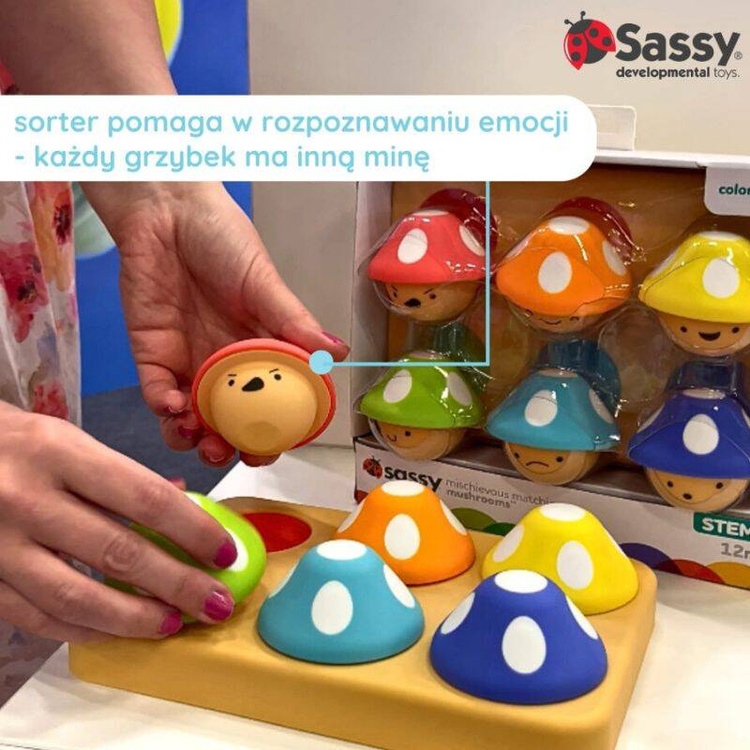 sassy sorter pstotne grzybki