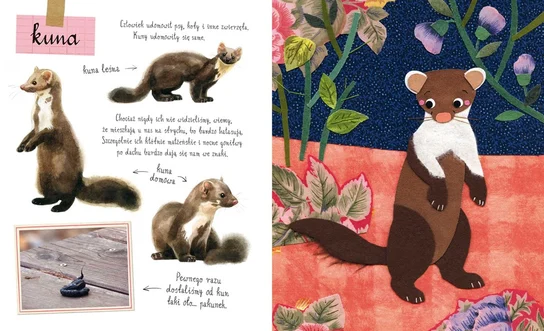 Mały atlas zwierzaków