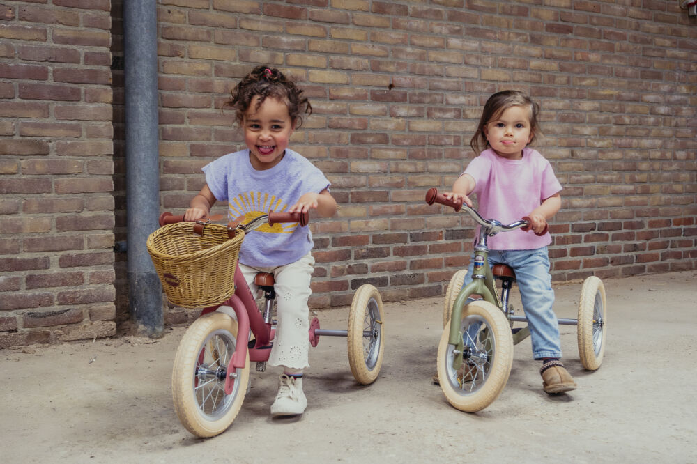rowerek trójkołowy trybike zielony