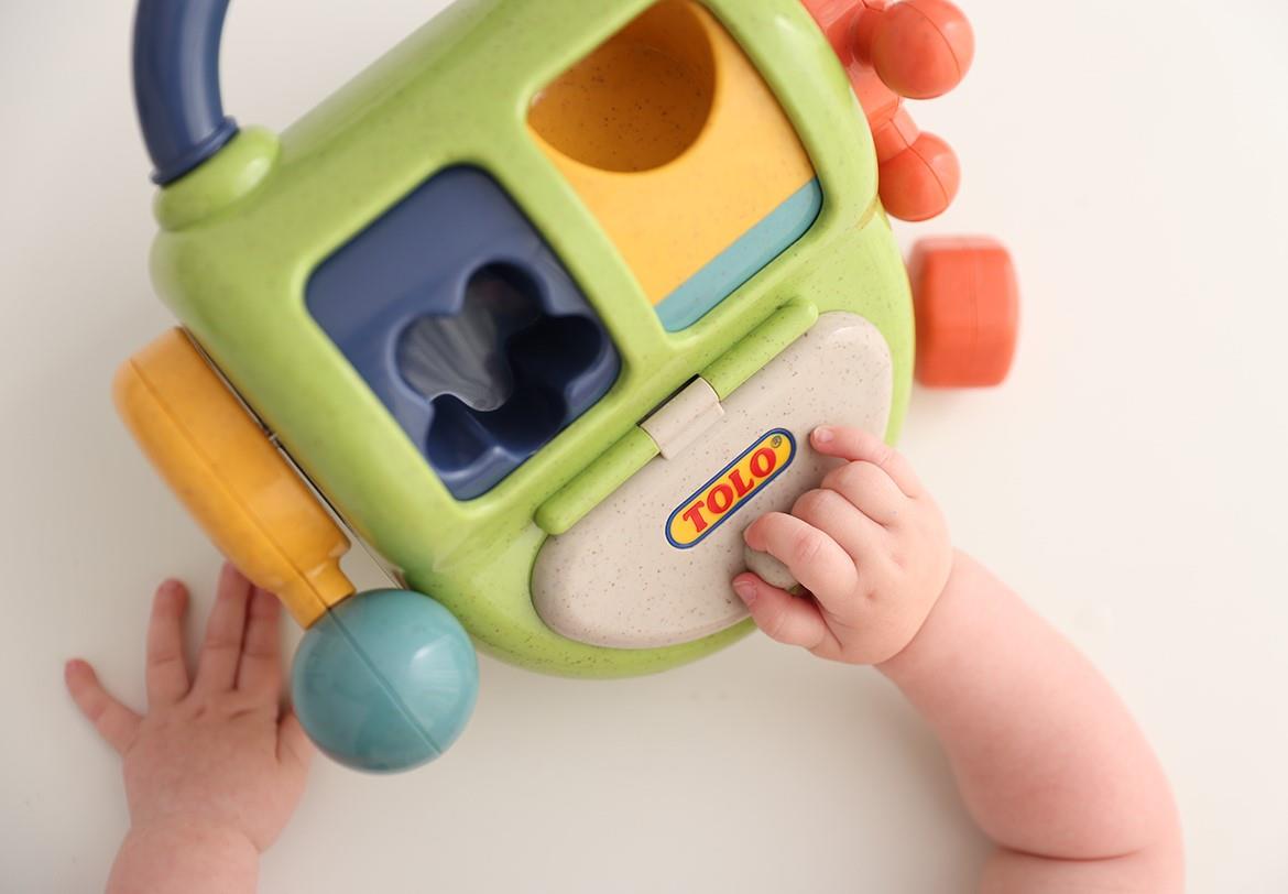 sorter kształtów tolo bio