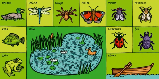 Książka Jeden Dzień