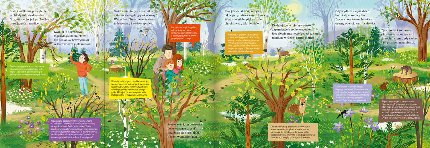 Pory roku krok po kroku. Edukacyjna książka z rozkładanymi stronami