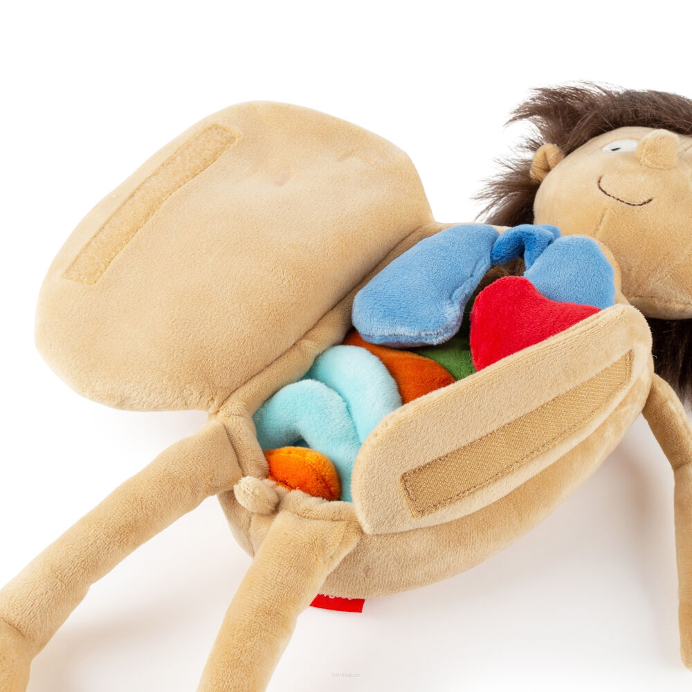 Mały Pacjent Erwin – edukacyjna lalka do nauki anatomii – Sigikid